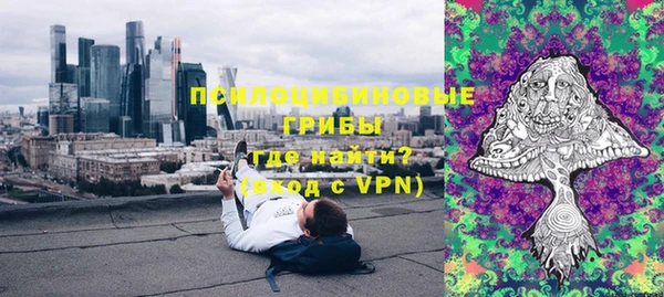 шишки Абинск