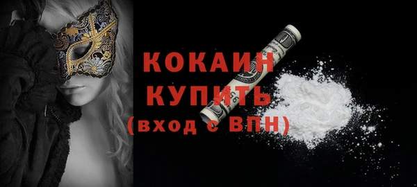 шишки Абинск