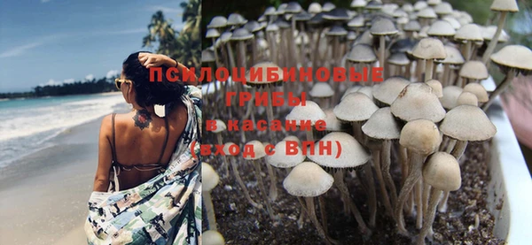 шишки Абинск