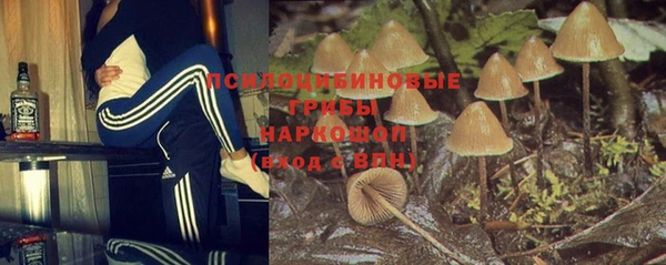Альфа ПВП Абдулино