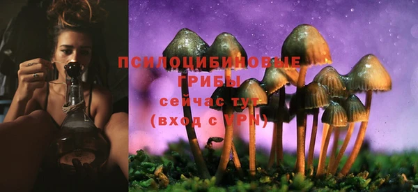 прущий лед Абаза